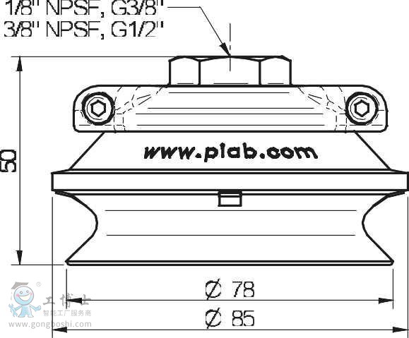 piabP(pn)