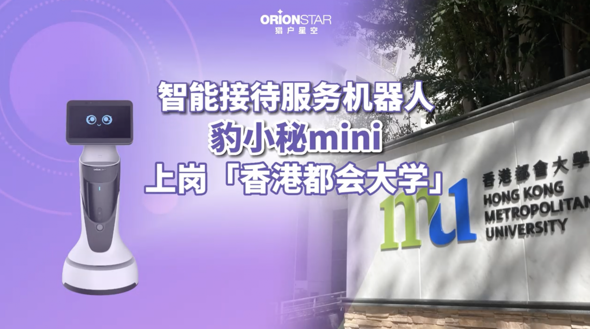 豹小秘mini